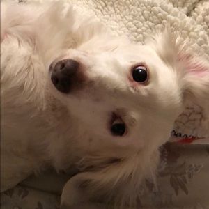 Meet your Posher, Gina